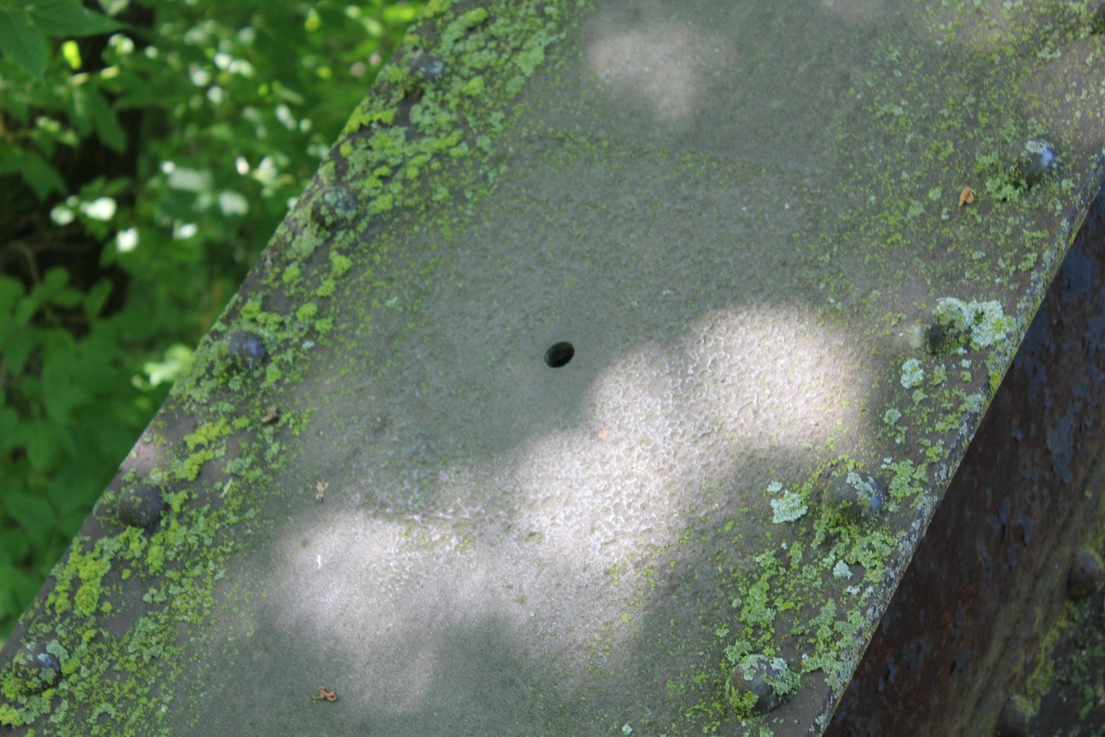 Missing plaque